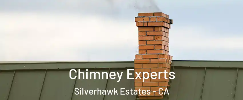 Chimney Experts Silverhawk Estates - CA