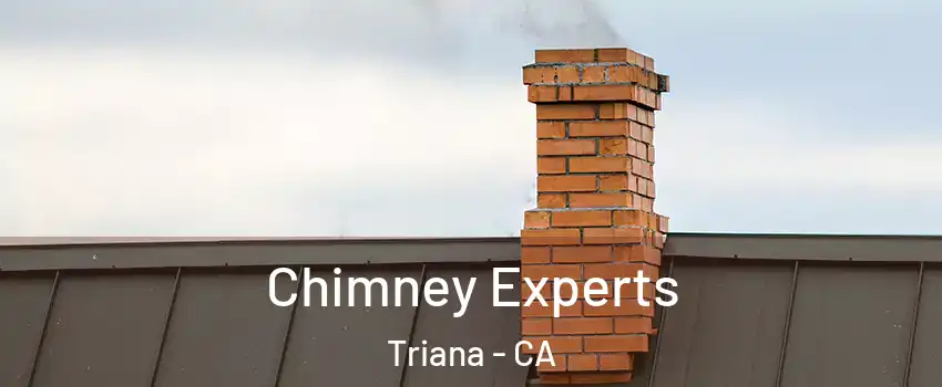 Chimney Experts Triana - CA