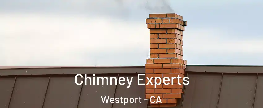 Chimney Experts Westport - CA