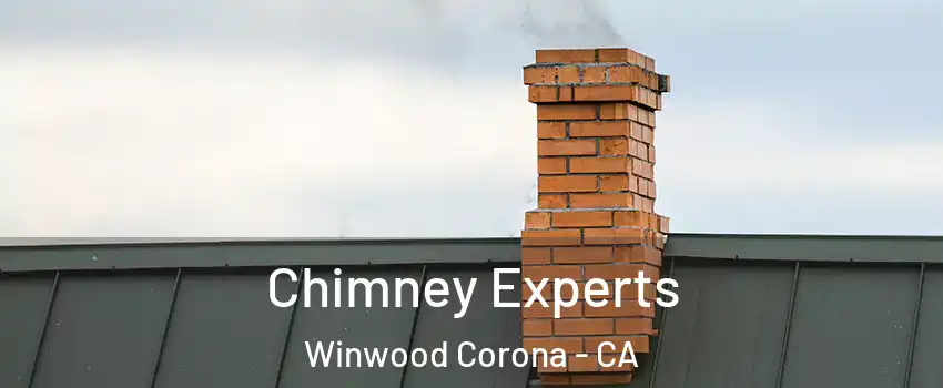 Chimney Experts Winwood Corona - CA