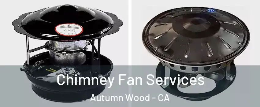 Chimney Fan Services Autumn Wood - CA