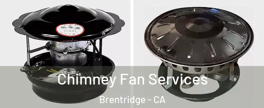 Chimney Fan Services Brentridge - CA