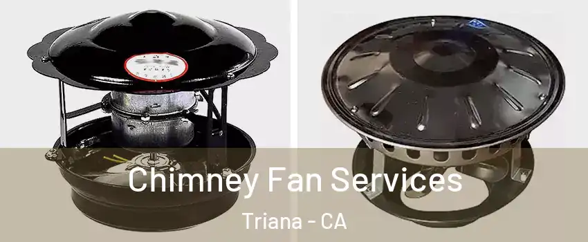 Chimney Fan Services Triana - CA