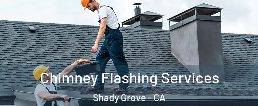 Chimney Flashing Services Shady Grove - CA