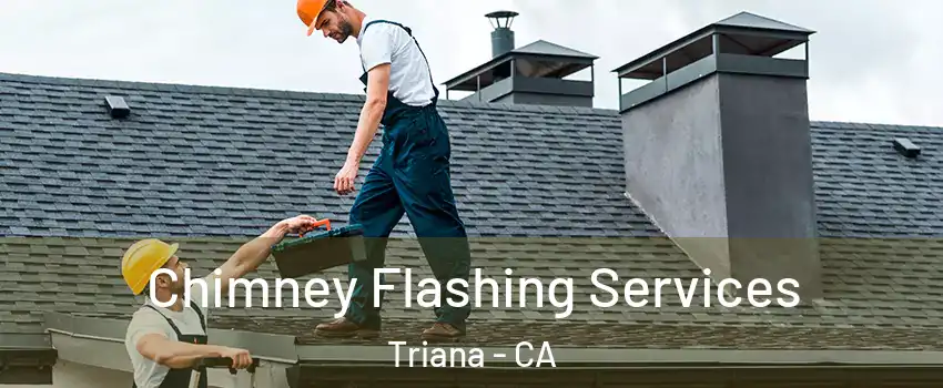 Chimney Flashing Services Triana - CA