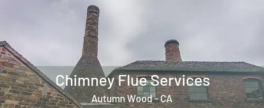 Chimney Flue Services Autumn Wood - CA