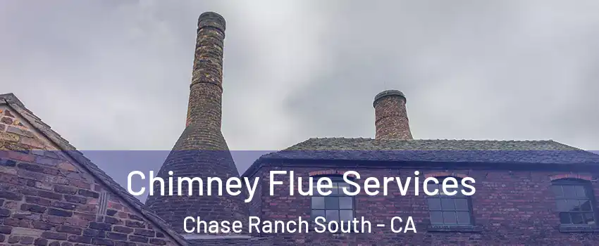 Chimney Flue Services Chase Ranch South - CA