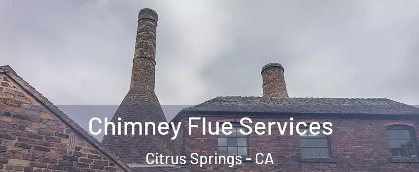 Chimney Flue Services Citrus Springs - CA