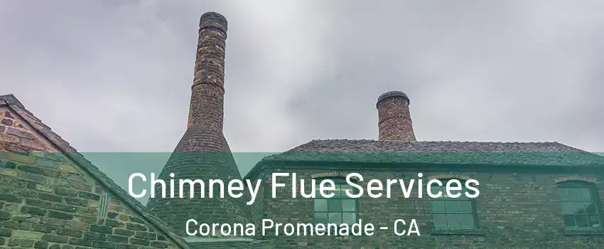 Chimney Flue Services Corona Promenade - CA