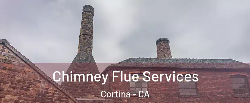 Chimney Flue Services Cortina - CA