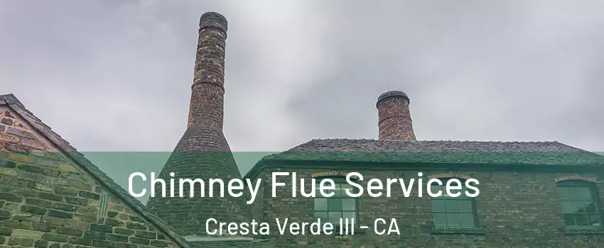 Chimney Flue Services Cresta Verde III - CA