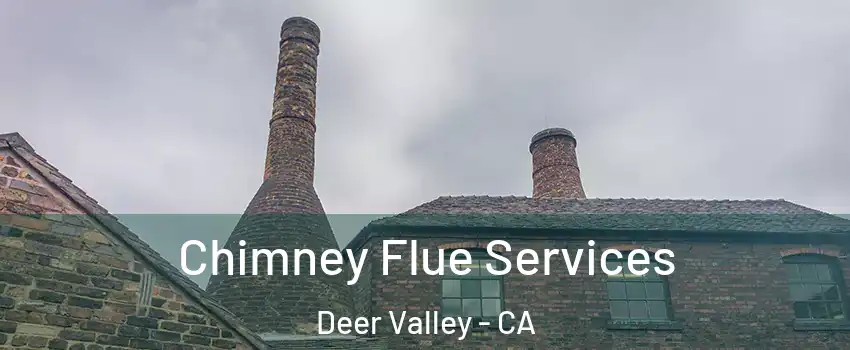Chimney Flue Services Deer Valley - CA