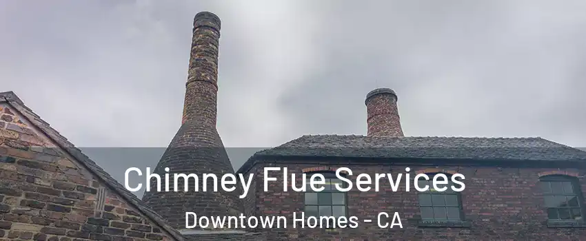 Chimney Flue Services Downtown Homes - CA