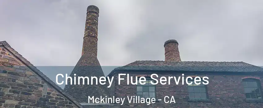 Chimney Flue Services Mckinley Village - CA