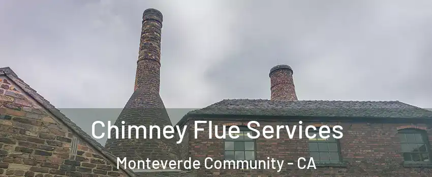 Chimney Flue Services Monteverde Community - CA