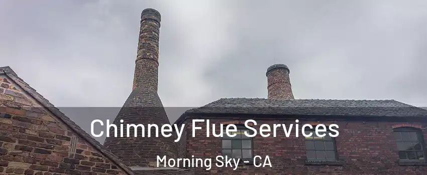 Chimney Flue Services Morning Sky - CA