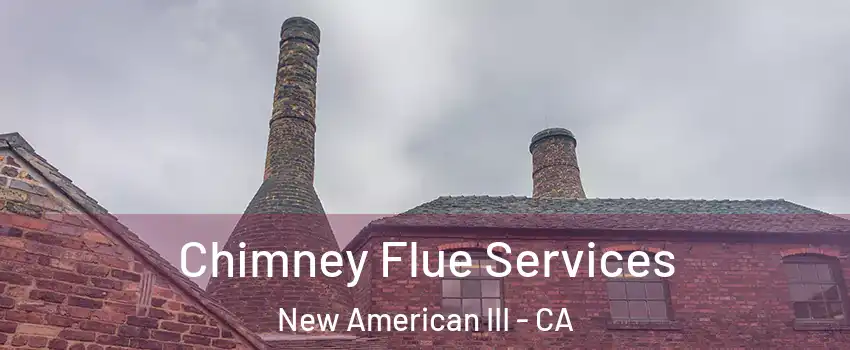 Chimney Flue Services New American III - CA