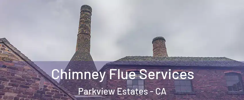 Chimney Flue Services Parkview Estates - CA