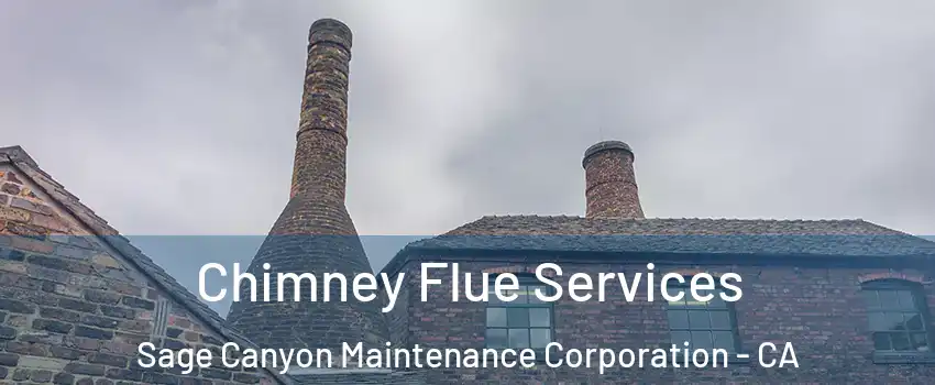 Chimney Flue Services Sage Canyon Maintenance Corporation - CA