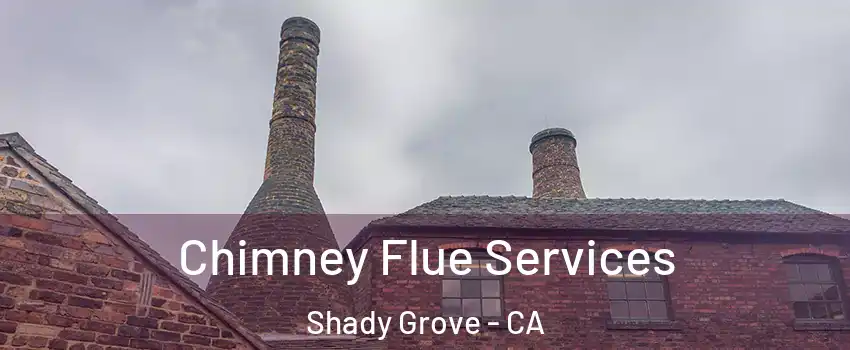 Chimney Flue Services Shady Grove - CA