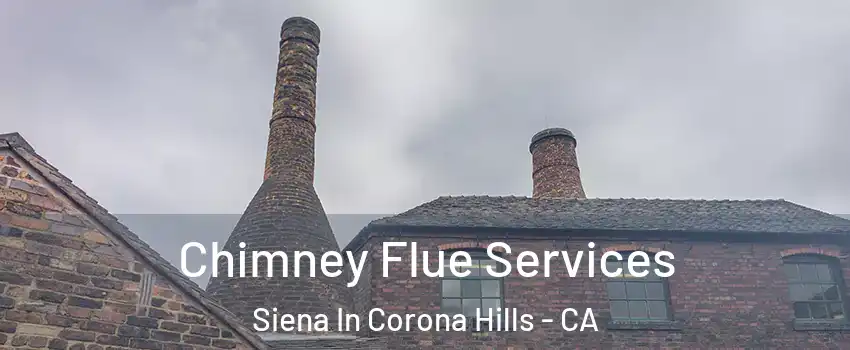 Chimney Flue Services Siena In Corona Hills - CA