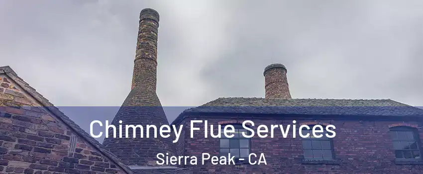 Chimney Flue Services Sierra Peak - CA