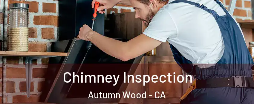 Chimney Inspection Autumn Wood - CA
