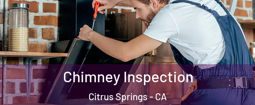 Chimney Inspection Citrus Springs - CA