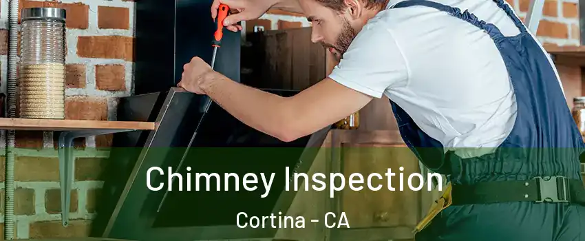 Chimney Inspection Cortina - CA