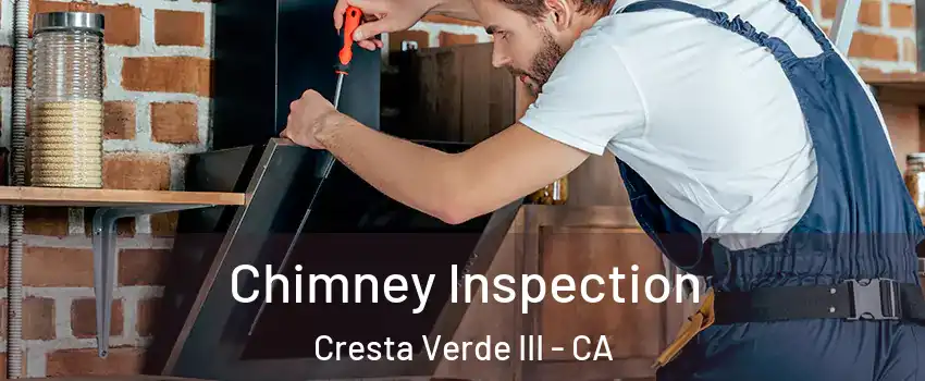 Chimney Inspection Cresta Verde III - CA