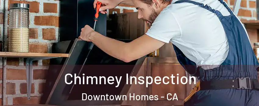 Chimney Inspection Downtown Homes - CA