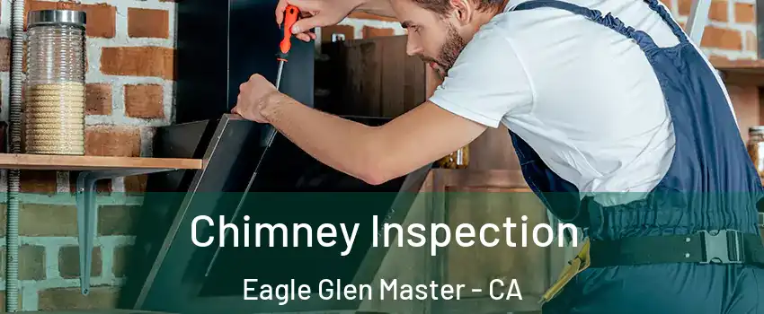 Chimney Inspection Eagle Glen Master - CA