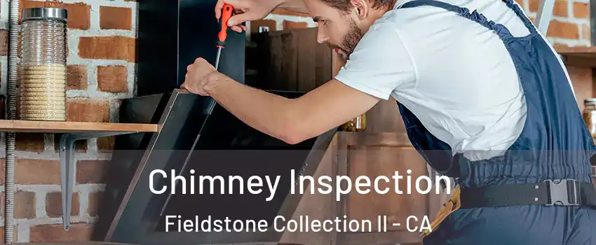 Chimney Inspection Fieldstone Collection II - CA