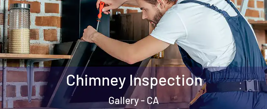 Chimney Inspection Gallery - CA