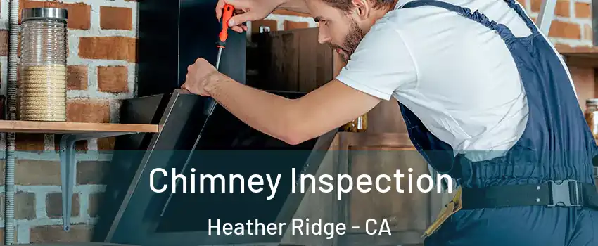 Chimney Inspection Heather Ridge - CA