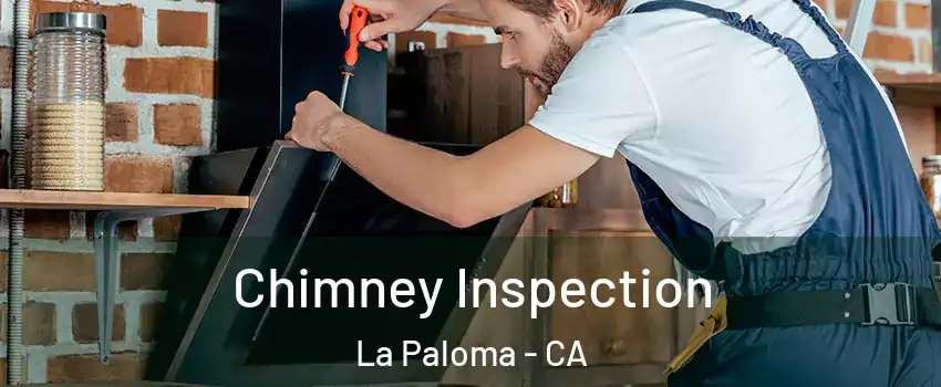 Chimney Inspection La Paloma - CA
