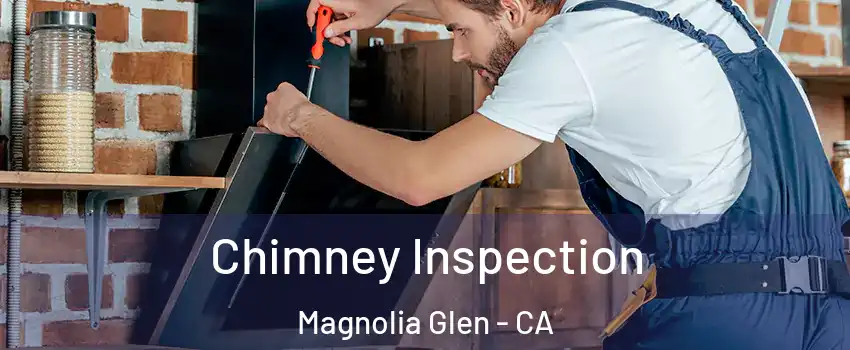 Chimney Inspection Magnolia Glen - CA