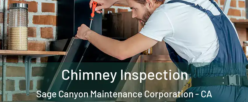 Chimney Inspection Sage Canyon Maintenance Corporation - CA