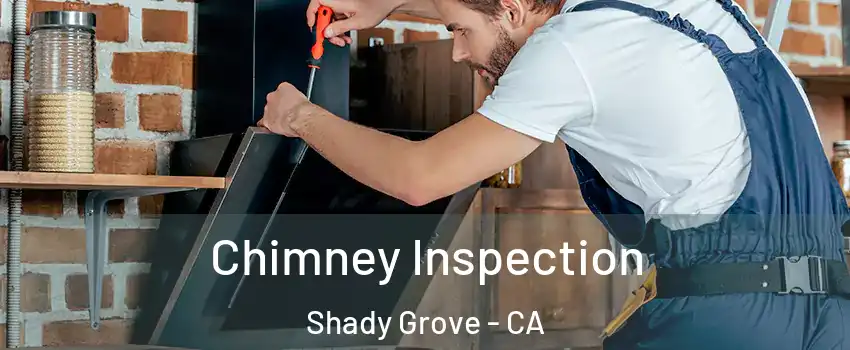 Chimney Inspection Shady Grove - CA