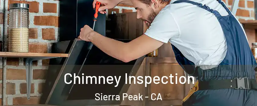 Chimney Inspection Sierra Peak - CA