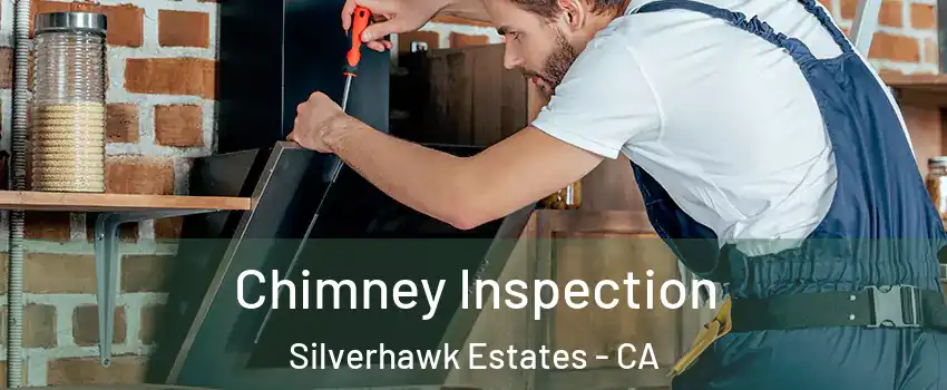 Chimney Inspection Silverhawk Estates - CA