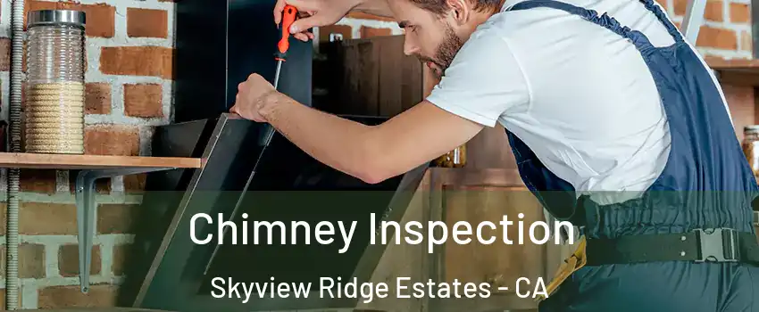Chimney Inspection Skyview Ridge Estates - CA