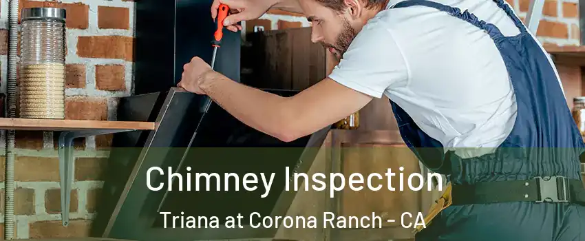 Chimney Inspection Triana at Corona Ranch - CA
