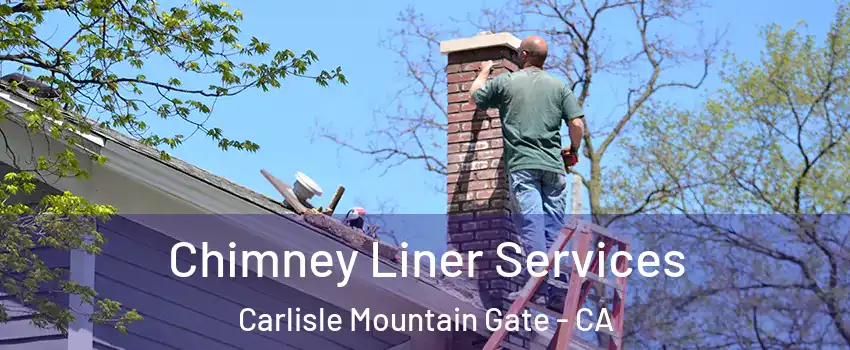 Chimney Liner Services Carlisle Mountain Gate - CA