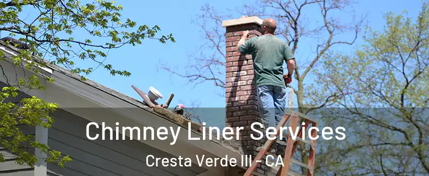 Chimney Liner Services Cresta Verde III - CA