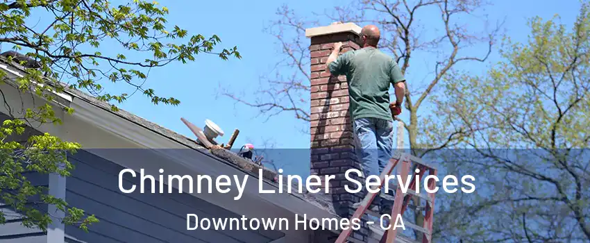 Chimney Liner Services Downtown Homes - CA