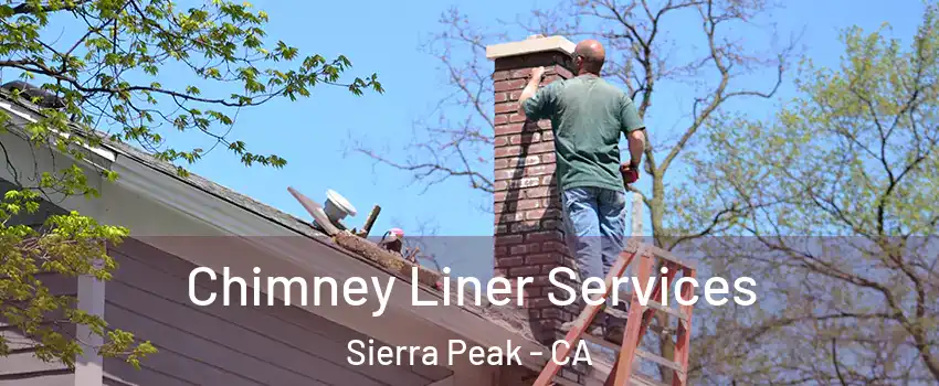 Chimney Liner Services Sierra Peak - CA