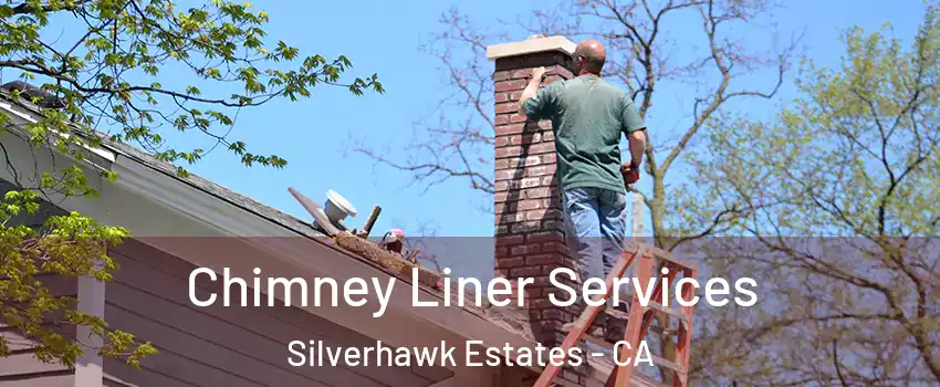 Chimney Liner Services Silverhawk Estates - CA