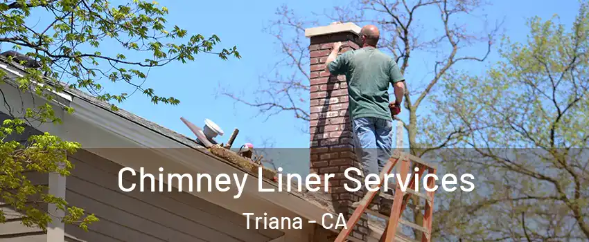 Chimney Liner Services Triana - CA