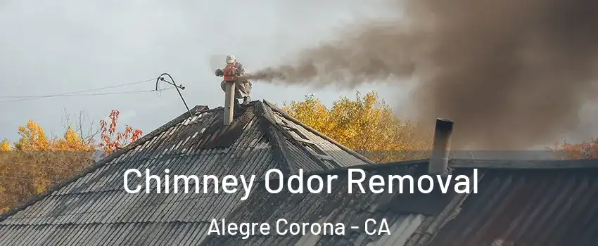 Chimney Odor Removal Alegre Corona - CA